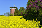 Wasserturm Borgloh