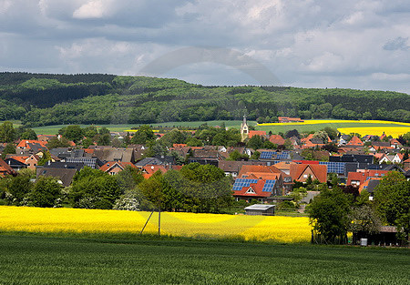 Landschaft bei Hilter a.T.W.