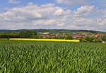 Landschaft bei Hilter a.T.W.