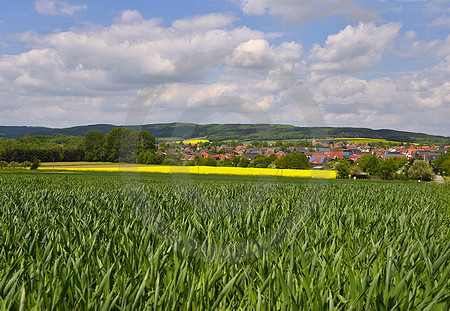 Landschaft bei Hilter a.T.W.