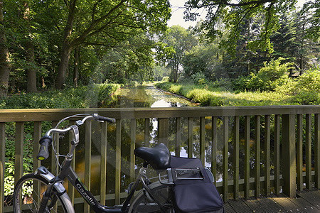 Hasepartie mit Brücke