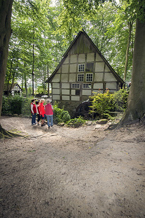 Wassermühle Riesau in Balkum