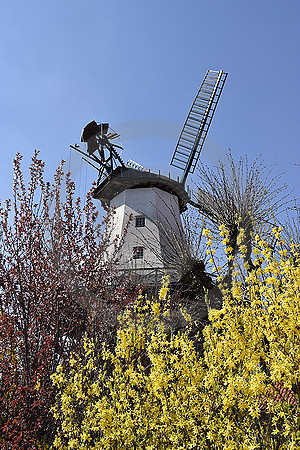 Querensteder Windmühle