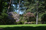 Rhododendronpark Westerstede