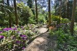 Rhododendronpark Westerstede