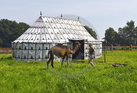 Kamelhof Artland