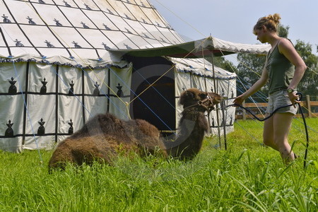 Kamelhof Artland