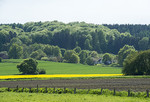 Frühling in Ostercappeln