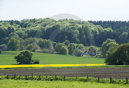 Frühling in Ostercappeln