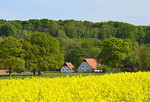 Landschaft bei Ostercappeln-Venne