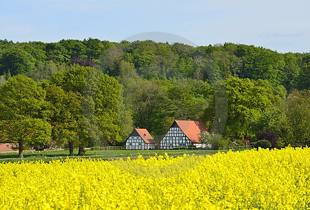 Landschaft bei Ostercappeln-Venne