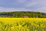 Landschaft bei Ostercappeln-Venne