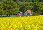 Landschaft bei Ostercappeln-Venne