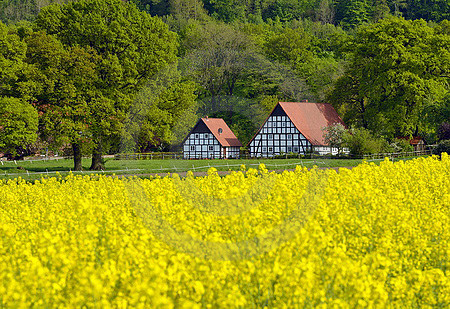 Landschaft bei Ostercappeln-Venne