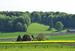 Frühling in Ostercappeln