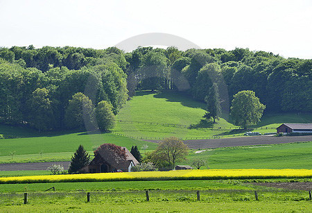 Frühling in Ostercappeln