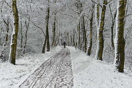 Winterspaziergang