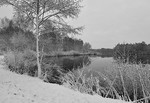 Winter am See