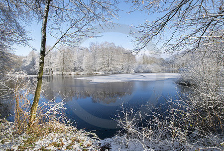 Winterlandschaft