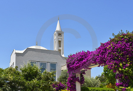 Moschee in Türkler