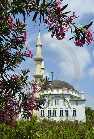 Moschee und Oleander
