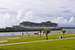 MSC Splendida