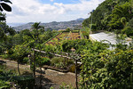 Botanischer Garten Funchal