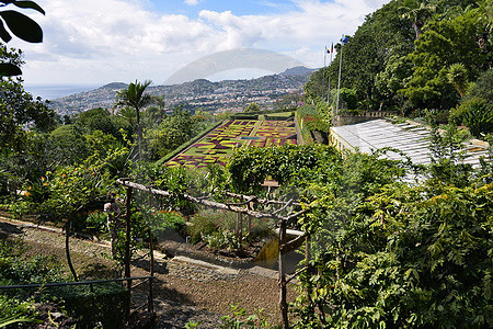Botanischer Garten Funchal