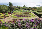 Botanischer Garten Funchal