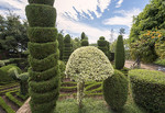 Botanischer Garten Funchal