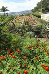 Botanischer Garten Funchal