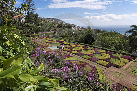 Foto Design Dieter Schinner Botanischer Garten Funchal