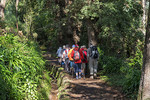 Levada-Wandern