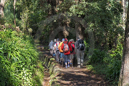 Levada-Wandern