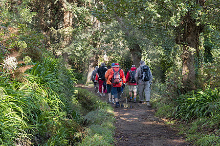 Levada-Wandern