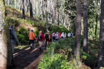 Levada-Wandern