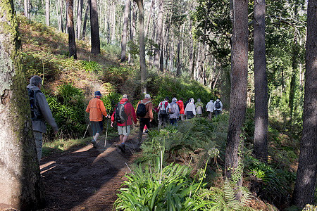 Levada-Wandern