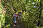 Levada-Wanderung