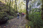 Levada-Wanderung