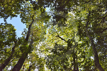 Levada-Wanderung