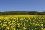 Frühlings-Landschaft in Dissen