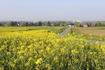 Frühlings-Landschaft in Dissen