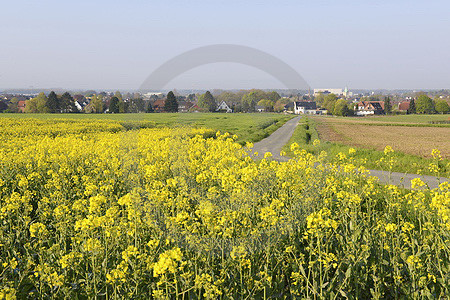 Frühlings-Landschaft in Dissen