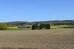 Frühlings-Landschaft in Dissen