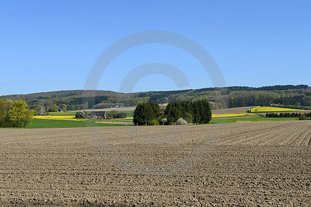 Frühlings-Landschaft in Dissen