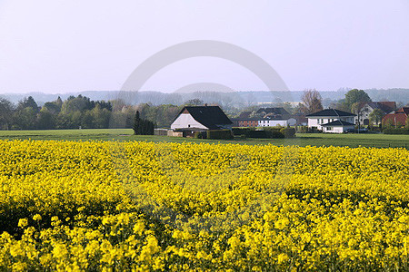 Frühlingsmorgen in Dissen