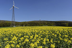 Frühlings-Landschaft in Dissen