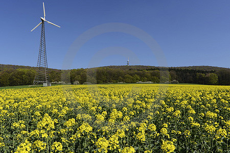 Frühlings-Landschaft in Dissen