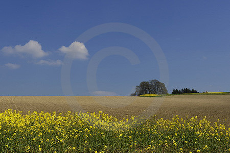 Agrar-Landschaft