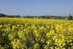 Landschaft am Beutling